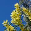 View the image: _M267995-62