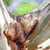 View the image: IMG_20230528_132005-30