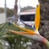 View the image: OLYMPUS DIGITAL CAMERA