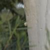 View the image: OLYMPUS DIGITAL CAMERA