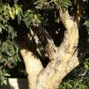 View the image: OLYMPUS DIGITAL CAMERA
