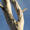 View the image: OLYMPUS DIGITAL CAMERA