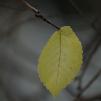 View the image: OLYMPUS DIGITAL CAMERA