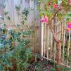 View the image: IMG_20220321_115115
