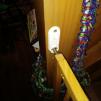 View the image: IMG_20220321_115336