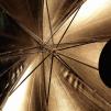 View the image: OLYMPUS E-510