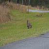 View the image: _M268958-114