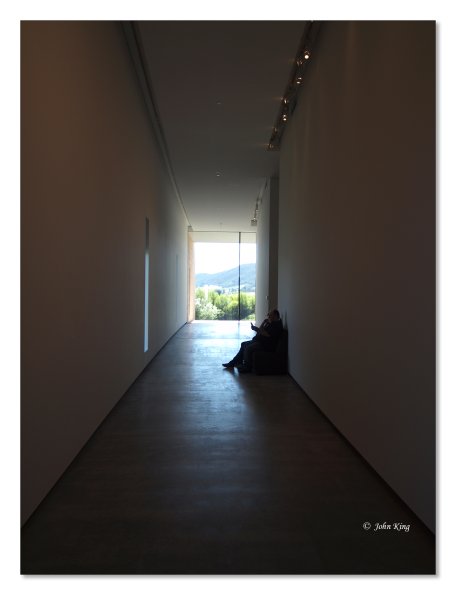 Tarrawarra Art Gallery & Winery - Buildings  & Surrounds