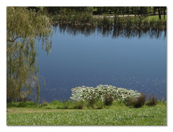 Tarrawarra Art Gallery & Winery - Buildings  & Surrounds