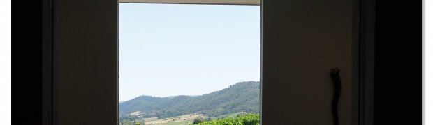 tarrawarra:
Tarrawarra Art Gallery & Winery - Buildings  & Surrounds