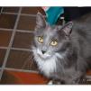 View the image: OLYMPUS DIGITAL CAMERA