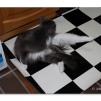 View the image: OLYMPUS DIGITAL CAMERA