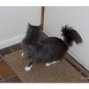 View the image: OLYMPUS DIGITAL CAMERA
