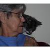 View the image: OLYMPUS DIGITAL CAMERA