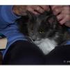 View the image: OLYMPUS DIGITAL CAMERA