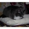 View the image: OLYMPUS DIGITAL CAMERA