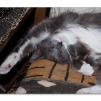 View the image: OLYMPUS DIGITAL CAMERA