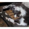 View the image: OLYMPUS DIGITAL CAMERA