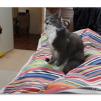 View the image: OLYMPUS DIGITAL CAMERA