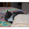 View the image: OLYMPUS DIGITAL CAMERA