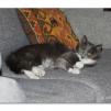 View the image: OLYMPUS DIGITAL CAMERA