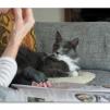 View the image: OLYMPUS DIGITAL CAMERA