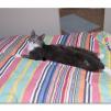 View the image: OLYMPUS DIGITAL CAMERA