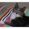View the image: OLYMPUS DIGITAL CAMERA
