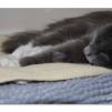 View the image: OLYMPUS DIGITAL CAMERA