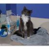 View the image: OLYMPUS DIGITAL CAMERA