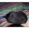 View the image: OLYMPUS DIGITAL CAMERA