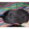 View the image: OLYMPUS DIGITAL CAMERA