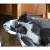 View the image: OLYMPUS DIGITAL CAMERA