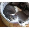 View the image: OLYMPUS DIGITAL CAMERA