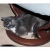 View the image: OLYMPUS DIGITAL CAMERA