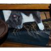 View the image: OLYMPUS DIGITAL CAMERA