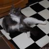 View the image: _M200440-173