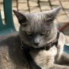 View the image: OLYMPUS DIGITAL CAMERA