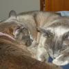 View the image: OLYMPUS DIGITAL CAMERA