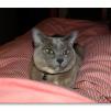 View the image: 18 minutes in the life of Rosa
Olympus E-510 + f/2.8 25mm Pancake
