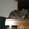 View the image: OLYMPUS DIGITAL CAMERA