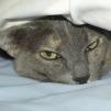 View the image: OLYMPUS DIGITAL CAMERA
