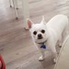 View the image: IMG_20231024_084216 (1)