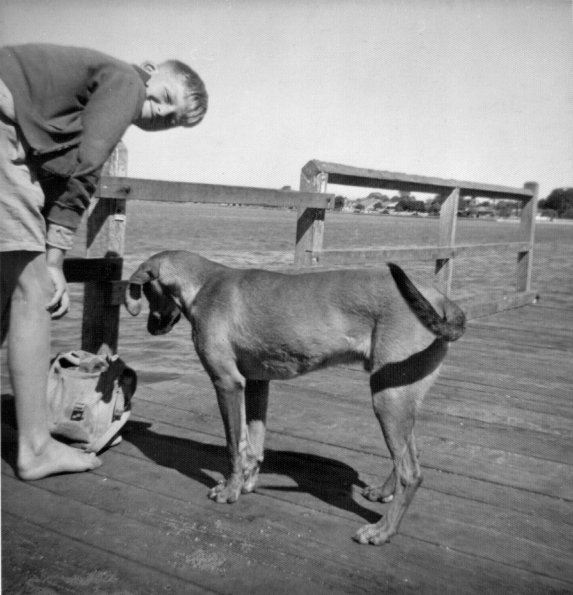 Boy_Dog_Wynum_1960s