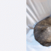 View the image: _C120644_USM-80-1_5-1_WI-W2