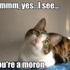 View the image: Moron