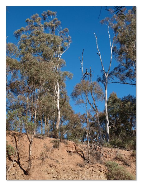 Lerderderg Gorge SP 23 May 2012