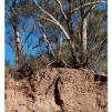 View the image: Lerderderg Gorge SP 23 May 2012