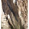 View the image: Lerderderg Gorge SP 23 May 2012