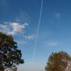 View the image: Olympus E-30